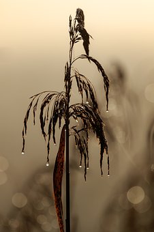 孩子犯錯(cuò)不敢承認(rèn)錯(cuò)誤怎么辦