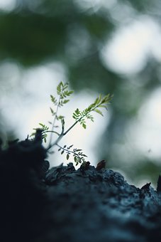 叛逆孩子如何教育