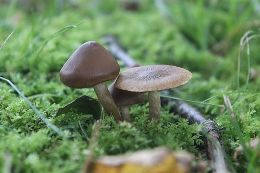 男孩子調皮搗蛋怎么教育