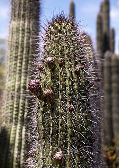 Α?q)ӵȫλӰ?></center>
             
 		            
			   <h2>J(rn)֪l(f)չ</h2><p>Α?q)ӵJ(rn)֪l(f)չзeOӰ푡ͨ^(gu)Α򣬺ӿ呟ע^˼S磬iΑԼl(f)ӵ߉݋˼SB(yng)Q(wn)}ɫΑԎӰl(f)չ(chung)׌ݲͬɫ(jng)vN鹝(ji)ЌW(xu)(x)Ķԡ</p><p>⣬һЩ(li)Α߀ԎӌW(xu)(x)µ֪R(sh)磬ЩΑԚvʷƌW(xu)Ȟ}ͨ^(gu)(dng)ķʽ׌ӌW(xu)(x)P(gun)֪R(sh)c(din)@NW(xu)(x)ʽȤζԺͅcԣԼl(f)ӵČW(xu)(x)dȤČW(xu)(x)Ч</p><h2>Xl(f)</h2><p>Α?q)ӵĴXl(f)ҲзeOӰ푡(j)о̼X(hu)a(chn)µ(jng)BӣM(jn)(jng)Ԫ֮gĜͨΑе(zhn)ͽQ(wn)}^(gu)̿Լl(f)ӵ˼SSM(jn)Xİl(f)չ</p><p>磬ΑԎB(yng)߉݋˼S͆(wn)}QΑУҪ挦(du)Ny}ҵQ@ӵ(zhn)Դ̼ĴXl(f)չ⣬һЩҪٷ(yng)`˼SΑC(j)(l)Α򣬿Ԏ߷(yng)ͅf(xi){(dio)ԣM(jn)XϺͰl(f)չ</p><h2>(hu)԰l(f)չ</h2><p>һЩH(hu)(ni)ݞΑУ܉@ó^츸ĸͬО֮һW(xu)(x)C(j)(hu)磬ںΑУҪcҺ(li)Q(wn)}_(d)ͬĿ(bio)@ӵĻ(dng)ԎӰl(f)չF(tun)(du)񡢃A (tng)ͨ͜ɡ</p><p>⣬һЩھΑṩ罻ƽ_(ti)׌܉cҽͻ(dng)ͨ^(gu)cͬĻ˽ӿԌW(xu)(x)ˡԺB(yng)罻ɡȻL(zhng)ҪO(jin)ָ(do)Αе罻О飬_Ҏ(gu)t˺ͱo(h)Լİȫ</p><h2>wl(f)չ</h2><p>Α?q)ӵwl(f)չҲзeOӰ푡Αпw(yn)NкwW(xu)(hu)ͱ_(d)Լw</p><p>磬һЩðU(xin)(li)Αܕ(hu)׌Ӹܵod^Ϳֵ֑w@ӵw(yn)ԎJ(rn)R(sh)ԼwW(xu)(hu)(yng)(du)ͿһЩe(li)Α(l)ΑB(yng)(li)Αt׌Ӹܵ䐂ͷɣ{(dio)(ji)wጷŉ</p><h2>_(do)Α</h2><h3>m(dng)?sh)ĕr(sh)gͪ(jing)(l)</h3><p>L(zhng)(yng)ԓ̌(do)Αĕr(sh)gҪm(dng)^(gu)ȳԡ_ĕr(sh)gM(jn)ЌW(xu)(x)w呟罻(dng)L(zhng)r(sh)gسΑС</p><p>⣬L(zhng)m(dng)?sh)ؽo躢ΑĪ(jing)(l)Լ(l)ذŕr(sh)g磬O(sh)һ(g)޶r(sh)gZں΄(w)󣬿~@һΑr(sh)gͨ^(gu)(jing)(l)C(j)ƣL(zhng)ԎB(yng)ŕr(sh)g΄(w)ĺ(x)T</p><h3>xmϵΑƶҎ(gu)t</h3><p>L(zhng)(yng)ԓͺһxmL(zhng)Αͬr(sh)cһƶΑҎ(gu)t_Α(ni)ݷϼͥr(ji)ֵ^܉򼤰l(f)ӵİl(f)չƶҎ(gu)tr(sh)L(zhng)cӑՓΑеĵº͂톖(wn)}Α?q)?hu)͂(g)˵Ӱ푡</p><h3>ȫҎ(gu)t</h3><p>ڼͥУȫwɆT(yng)ԓΑҎ(gu)tL(zhng)cһƶΑҎ(gu)tt_ԼҲҎ(gu)t@ӵB(yng)ӵ؟(z)θкҎ(gu)tR(sh)</p><p>CΑ?q)ӵӰȫλġԴM(jn)J(rn)֪l(f)չXl(f)(hu)Ժwİl(f)չȻL(zhng)(yng)ԓ_(do)Α򣬴_Ӻŕr(sh)gxmϵΑ򣬲ΑҎ(gu)tͨ^(gu)_(do)ӿԫ@Α򎧁(li)̎Α܌W(xu)(x)ͳL(zhng)Ę(l)Ȥ</p>				            
      	    <p>
            			  </p>
			
 <div   id=