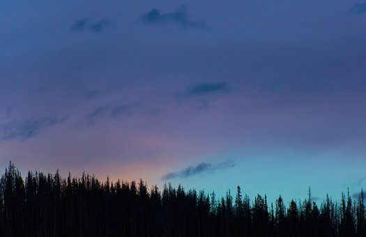 ���н�������и� ��