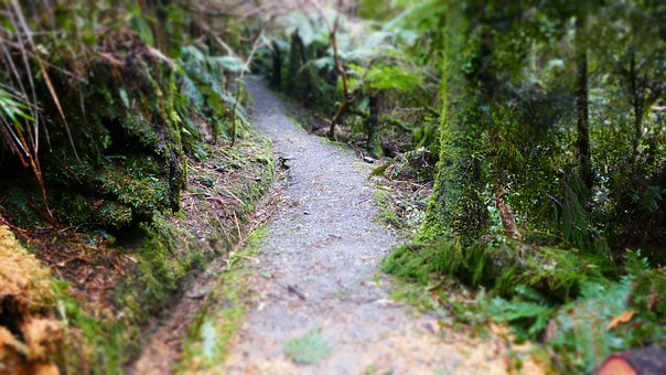 ��ԓ������B�������X�dȤ��