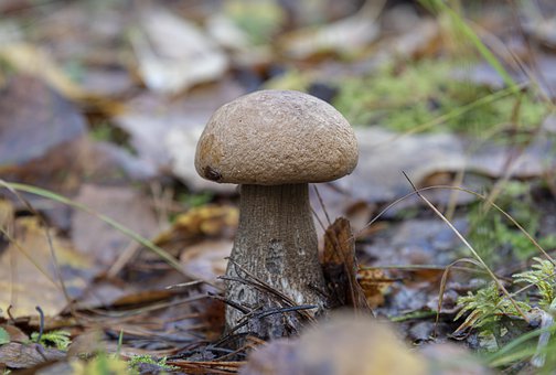 ����ƌW���I�͘Iǰ���ͷ���