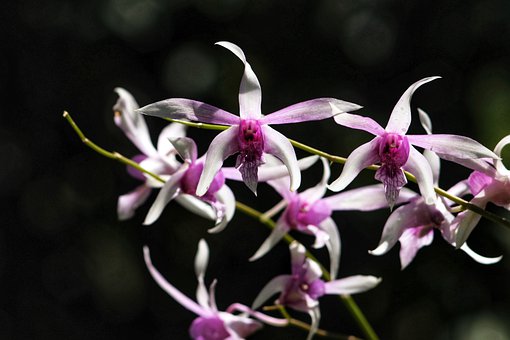 ����������ӵ�ע����