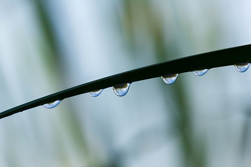 ���л��W����܇��������߀�ܾȆ᣿�Y��̎��Ĵ�Ԓ