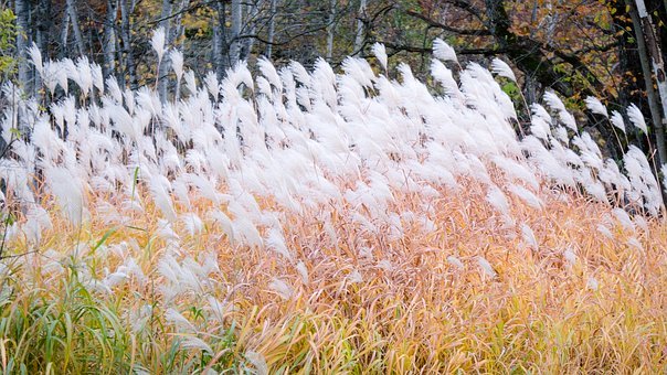 ���L�ؿ������Ӹ߿�ʧ����ô�k��5�����������茧