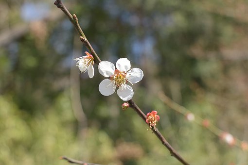 2012年北京通州區(qū)初三化學(xué)一模試題及答案