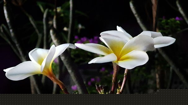 �ɹ���W(xu��)���ļҽ̱؄ٷ��t