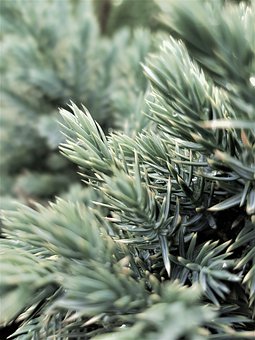 ���п�ԇ�󣬽o�����W���ͼ��L�Ľ��h