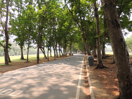 С�W���Z�Ć�Ԫ�Ĝyԇ�����Yƪ