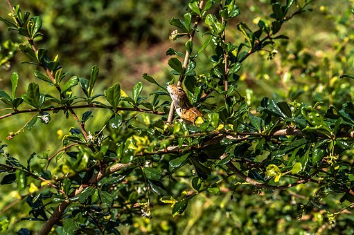 �������ǣ���������΃��ŵع��˳��Д��W