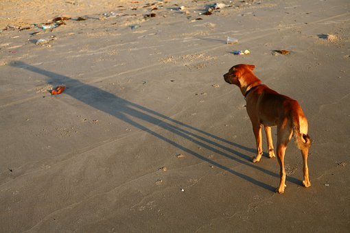 һôWs-tDv-tD_ʼ˼·