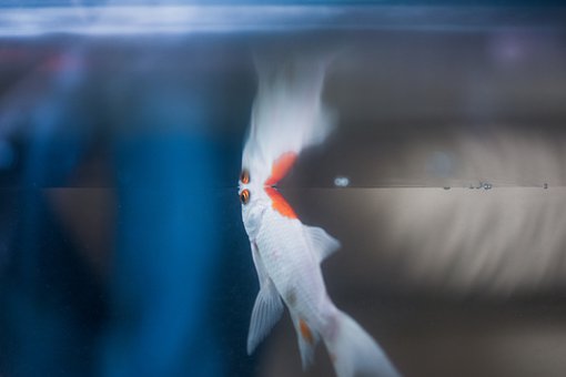 高中生玩游戲怎么教育