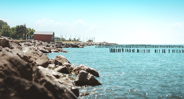 ���L����o�����ӌW�������