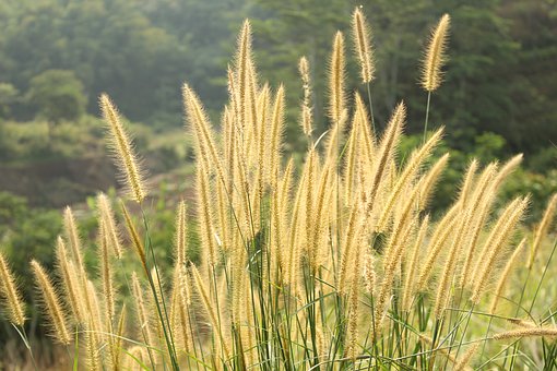 名師聊學習:高中階段課業加重高中生該如何平衡學習