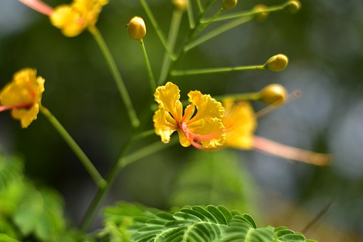 С�W���꼉�Z�ġ��S�����n��