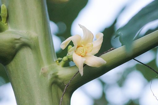 �����ЌW��Ո�ҽ����c���`�^