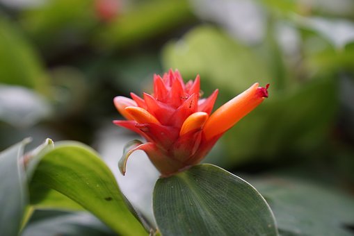 ���Д��W��Щ��K�y�������Д��W�У���Щ��K�ǌW�����ձ��J���y���ģ�