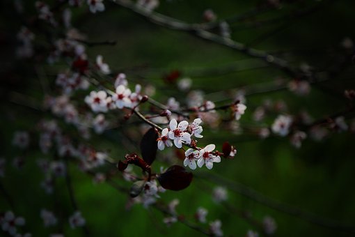 發(fā)現(xiàn)女兒談戀愛怎么辦