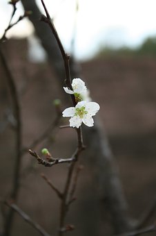 12歲孩子愛哭愛發脾氣怎么辦