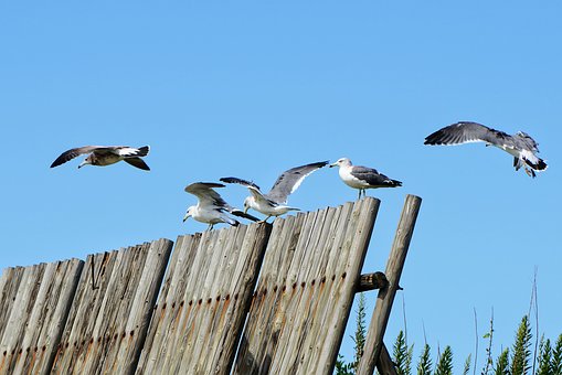 �Ї����g�WԺ��B