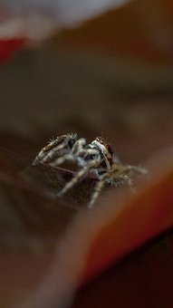 ���к���ӑ������ԓ��ô�k