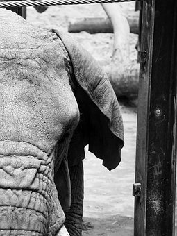 ���б���һ���W֪�R�c���Y(2)