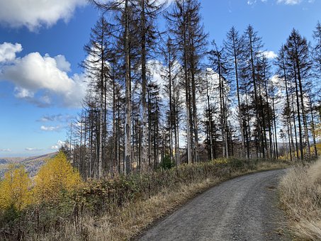 ��W����ԓ�úÿ����ĳ������ģ�����̫���ˣ�