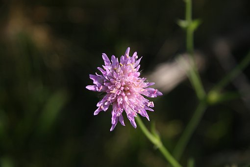 νQӵąW