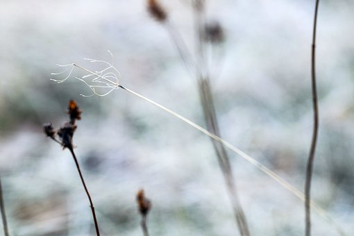 高考生考后需關注的6個事項