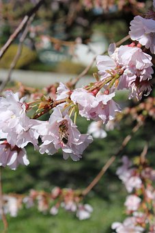 ���L�n�ã��o�����ӌ���ͥ���I���Ĵ���