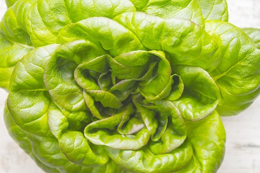 ʮ��qŮ���ϴ�W(xu��) ��ϲ�g���e���f�Լ�С