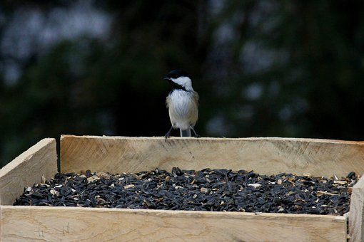高校出招化解舍友矛盾:學會寬容