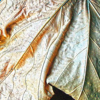 ���A�W��֧�У���һ�߶�Ŭ�� �����ŕ����\