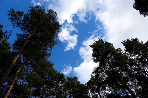 戴望舒《我用殘損的手掌》中考必備知識點全攻略