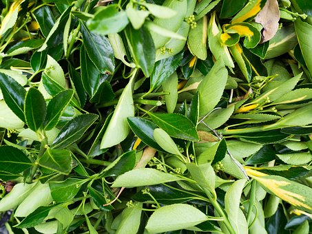 ���Д�(sh��)�W(xu��)��(chu��ng)�½̌W(xu��)��׌���ӏصא��ϔ�(sh��)�W(xu��)���Ĵ����E