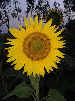 怎樣讓初中孩子主動去學