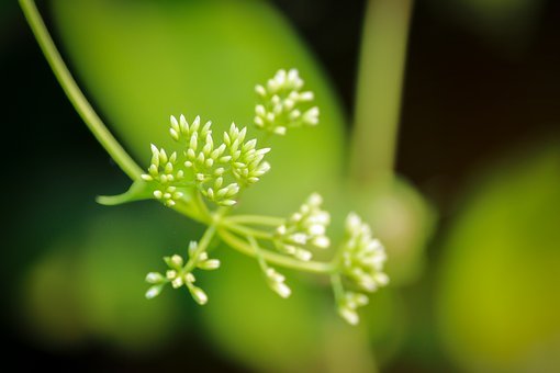孩子不承認(rèn)錯誤推卸責(zé)任怎么辦