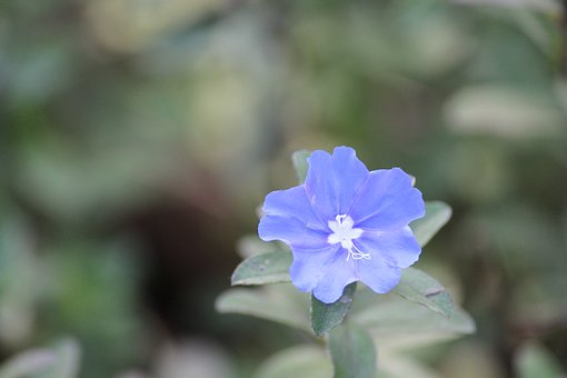 培養(yǎng)孩子全面發(fā)展的九個(gè)教育方法
