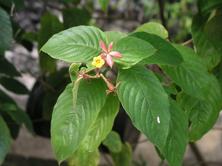 ���Ҽ���:��ͬ���ЌW������x��W