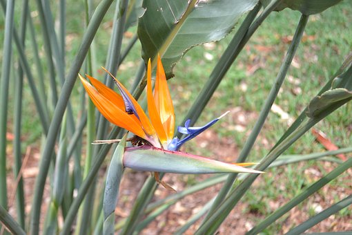 培養孩子動腦思考的興趣與方法