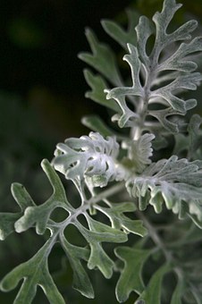 �x�������ϴ�������Ύ����Ӵ�͸�������F���|���vʷ���n��