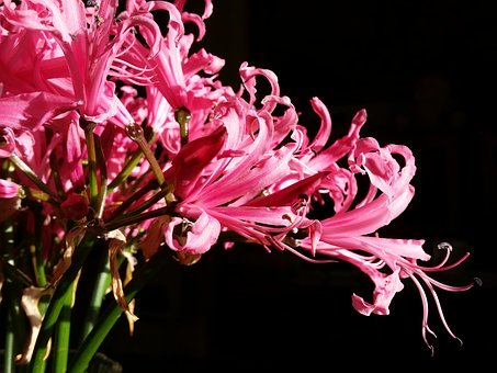 Ů�������֙C��ô�k