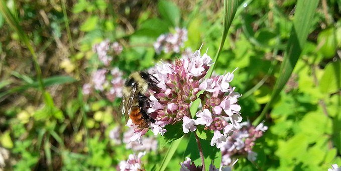 ���ꃺͯ��ˇ�W����������g�Ƕ�����