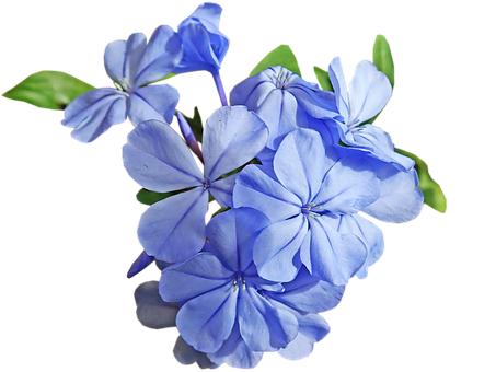 ������������������΂�����п�