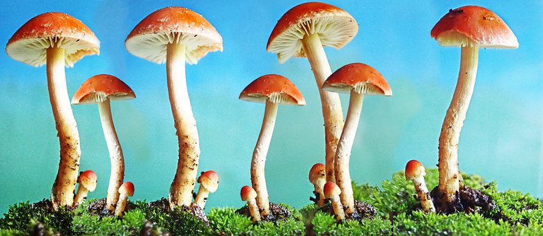 理解和引導孩子的逆反心理