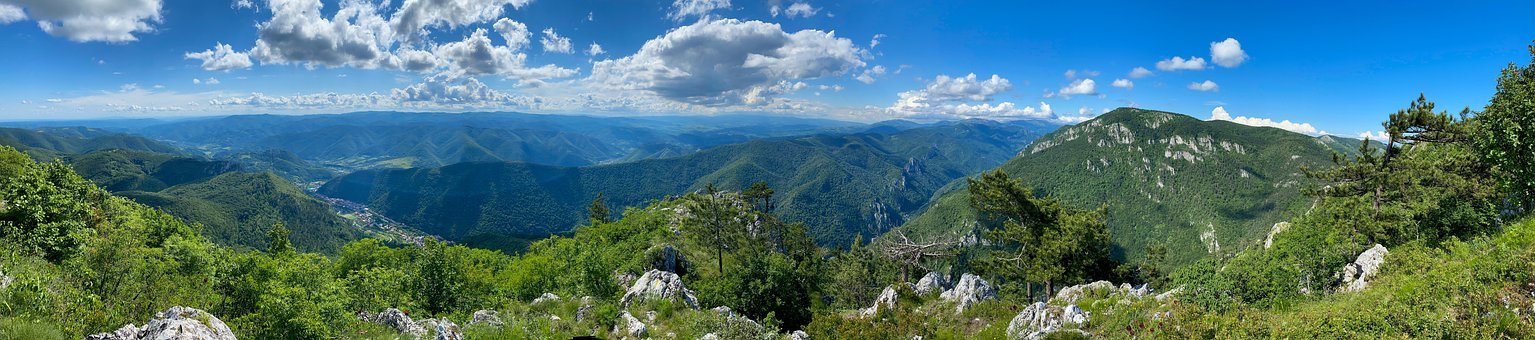 �����к������ڣ�һ���P�ڳ��L�Ĳ���