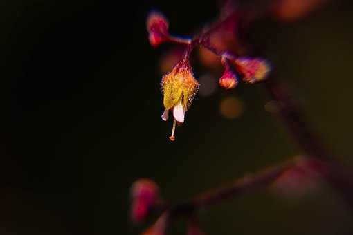 2010�v��(j��)��У����Ӌ(j��)���l(f��)��