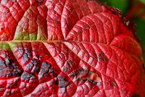 初一數(shù)學(xué)成績(jī)領(lǐng)先全靠這5個(gè)學(xué)習(xí)方法,家長(zhǎng)轉(zhuǎn)給孩子看