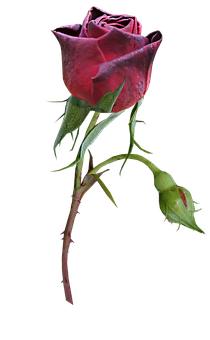 �ʴ�W����Wǰ��������������ˡ����}